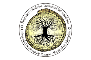 Logo Posgrado Medicina Indoamericana
