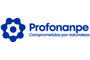 Logo Profonanpe
